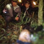 Kali Ini, Ganasnya Harimau Bereaksi Di Hutan Seribu Ataran Pedamaran