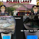 Empat Tersangka Ganja Disapu Bersih Team Walet Polres Lahat