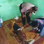 Kakek Berusia 110 Tahun Ditemukan Gantung Diri di Kebun Jati Milik Warga