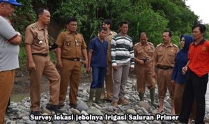 Ratusan Sawah Warga Lahat Selatan Gagal Tanam