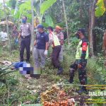 Beberapa Hari Hilang, Warga Pamarican Ditemukan Tewas Di Bawah Pohon Pinang.