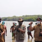 Perhutani Apresiasi Program Padat Karya Penanaman Mangrove di Pantai Bahagia