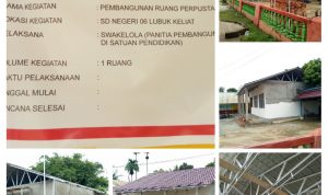 11F33746-E7D2-4E4B-8351-D69DA80FB00D