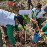 PDASHL Ketahun Akan Dorong HMPI dan BMN di Prov. Bengkulu Bagian Dari Rehabilitasi Lahan Daerah Aliran Sungai