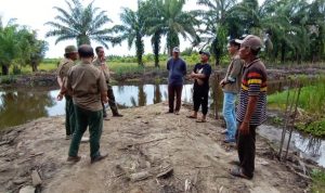 Kepala Balai BPDASHL Ketahun Ajak Masyarakat Rehabilitasi Mangrove di Kabupaten Seluma