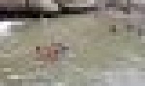 6908C552-907E-4566-BE54-E08D54559724