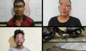 Curas, Empat dari Lima Pelaku Berhasil Diamankan Polsek Tungkai Ilir