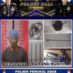 Polsek Penukal Abab Amankan Pelaku Pencurian