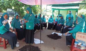 Sosialiasikan-Pemanfaatan-Lahan-Pekarang-dengan-Sistem-Vertikultur