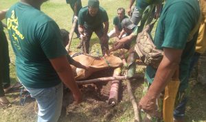 PT Pertamina Hulu Rokan Zona 4 Adera Field Bagikan Daging Hewan Qurban ke Masyarakat.