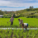 Ketahanan Pangan sebagai Wujud Kepedulian Polri pada Masyarakat