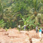 Banjaranyar Ciamis Kembangkan Budidaya Padi Gogo di Lahan Kering