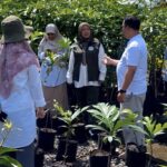 Dari Rumpin untuk Indonesia Hijau : Kemenhut Tanam Ribuan Pohon Kompensasi Emisi