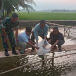 Oftimalkan Program Ketahanan Pangan Desa Sindangjaya Pangandaran di Bidang Perikanan