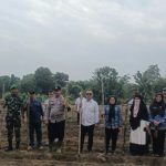 Camat Penukal Tinjau Program Ketahanan Pangan di Desa Air Itam Timur